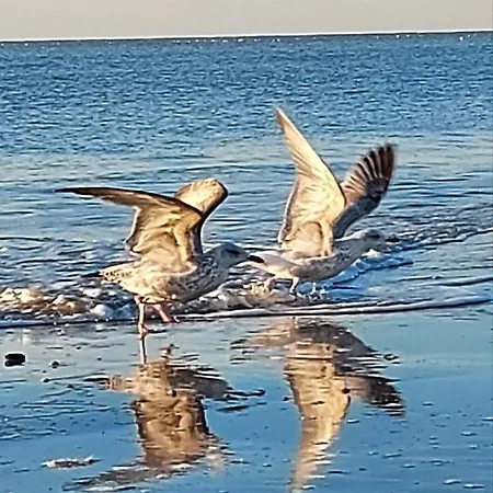 Prins Appartementen Bed & Breakfast Egmond aan Zee