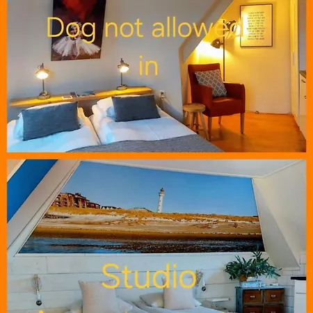 住宿加早餐酒店 普林斯公寓 4*