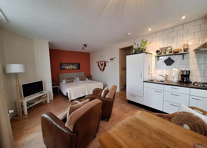 住宿加早餐酒店 普林斯公寓 4*